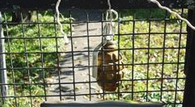 У селі Чагор на паркані виявили гранату