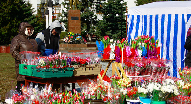 До 8 березня у Глибоці відкрився квітковий ярмарок