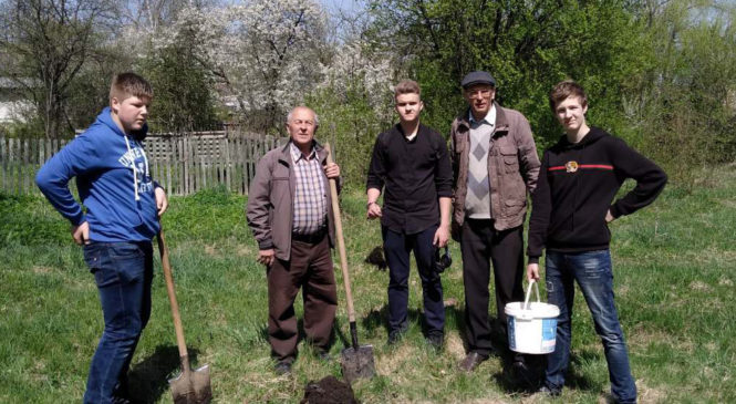 На Алеї Небесної Сотні посаджені нові дерева та проведено підживлення висаджених раніше