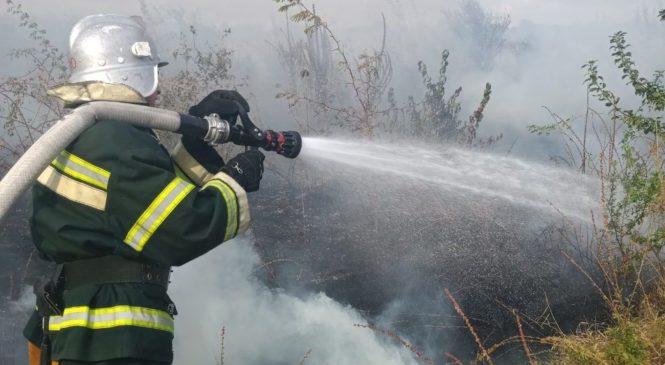 Більшість пожеж, які сталися у Чернівецькій області упродовж вихідних, виникли на відкритій території