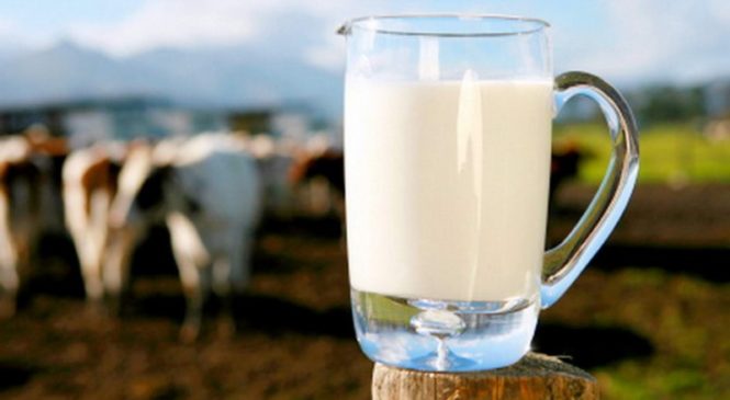 «Безпечне молоко – дітям Буковини»