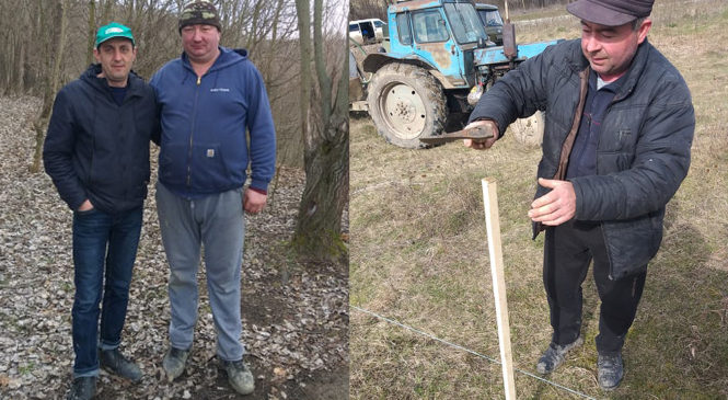 Більш 1200 дерев посадили у Волоцькій громаді