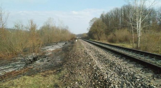 На Глибоччині 7 квітня 2020 року, поки українці відзначали Благовіщення, скоєно підпал прилеглих до залізничної колеї ділянок