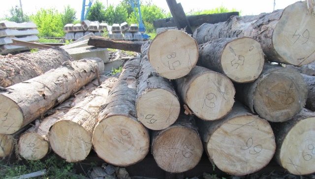 В пункті пропуску “Вадул-Сірет – Вікшани” вилучено ділову деревину, підготовлену до незаконного вивезення з України