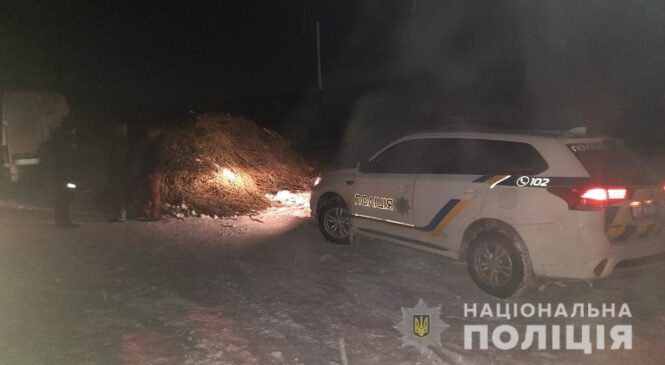 Поліція Буковини проводить посилену боротьбу із незаконною вирубкою ялинок у передноворічний період