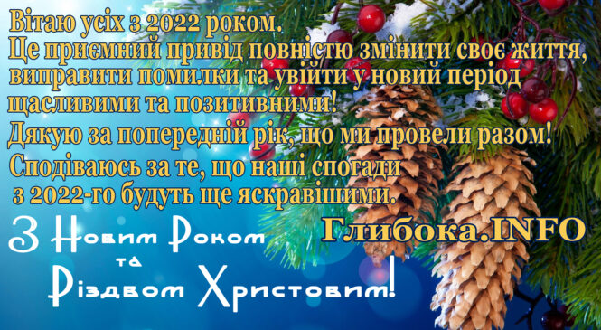 Вітаю з Новим роком!  Домашнього затишку, чудового настрою і яскравих мрій