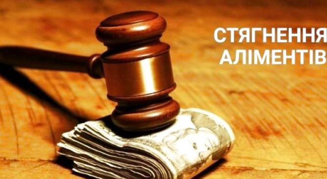 Житель села Черепківці постане перед судом  за несплату аліментів у сумі понад 36 тисяч гривень