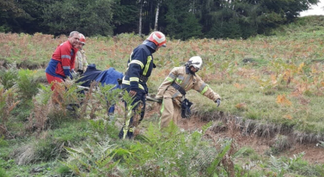 В горах на Буковині рятувальники доправили до швидкої травмовану жінку