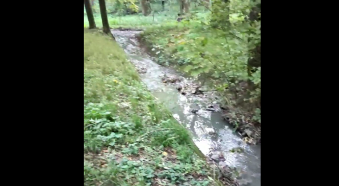 У Чернівцях у парку “Жовтневий” каналізаційні стоки забруднюють озера