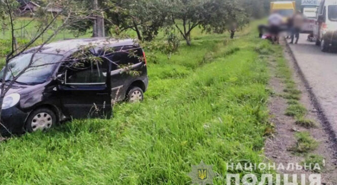 На Вижниччині авто збило 10-річну дівчинку, яка раптово вибігла на дорогу