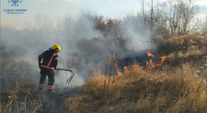 У Чернівцях на вулиці Січових Стрільців через недопалок сталася пожежа