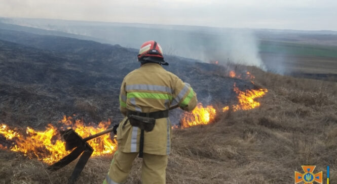 За добу на Буковині тричі гасили пожежі на відкритій місцевості