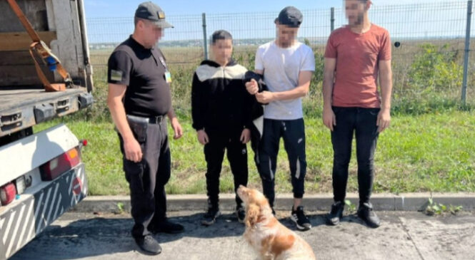 На Буковині у фурі з склом виявили трьох нелегалів із Сирії