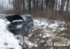 У селі Буденець внаслідок перекидання автомобіля в кювет травмувалася 20-річна кермувальниця та 21-річний пасажир