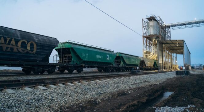 Масштабний проєкт: Вадул Сіретський Термінал.