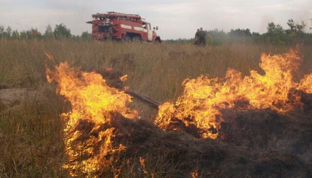 За спалювання сухої трави та сміття – штраф від 3060 грн до 6120 грн для громадян, а для посадових осіб -від 15300 грн до 21420 грн