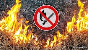 РЯТУВАЛЬНИКИ НАГАДУЮТЬ ПРО ЗАБОРОНУ СПАЛЮВАННЯ СУХОЇ РОСЛИННОСТІ