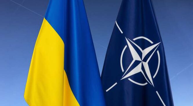Україна очікує у липні відповіді, коли зможе стати членом НАТО – Шмигаль