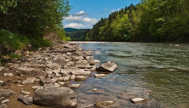 Буковинців попереджають про підйоми рівня води у річках Прут та Сірету
