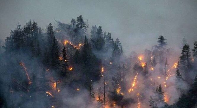 Лісові пожежі в Греції: тисячі туристів евакуйовано
