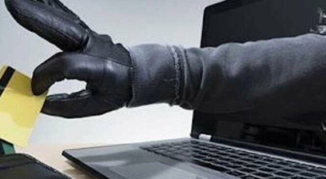 На Буковині жінка взяла участь в опитуванні в Телеграм та втратила кошти