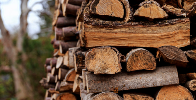 Буковина – серед лідерів областей з постачання дров для соціальної сфери