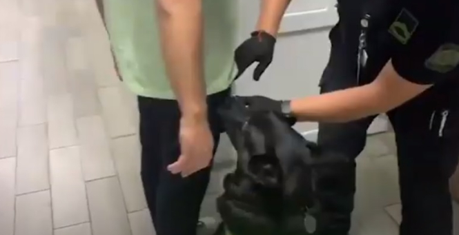 «Спрацював чотирилапий колега»: у «Порубному» службовий собака знайшов наркотики в іноземця