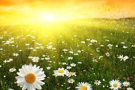 Ще трішки тепла: в Укргідрометцентрі розповіли, скільки триватиме метеорологічне літо