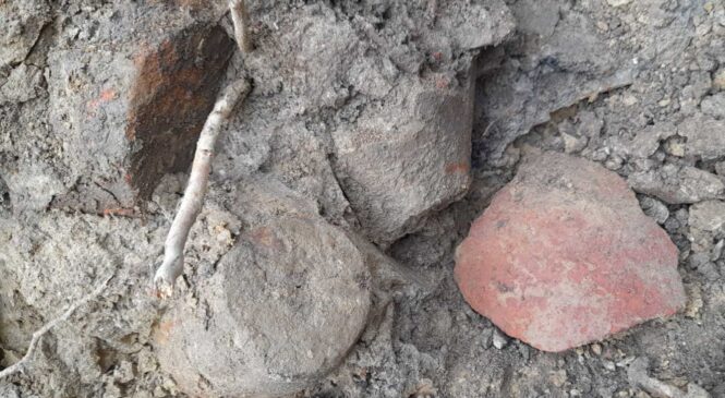 У Глибоцькому лісі виявили ранньослов`янське поселення Райковецької культури VIII-IX століття