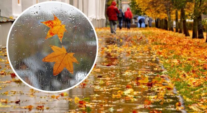 П’ять порад, щоб підготувати організм до холодів