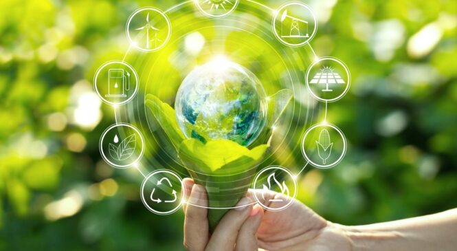 ПОВІДОМЛЕННЯ про оприлюднення проєкту ДПТ та звіту про стратегічну екологічну оцінку