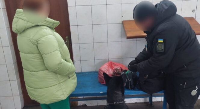 У пасажирки автобуса «Чернівці – Сучава» знайшли наркотики