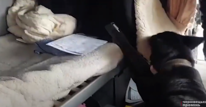 На кордоні Буковини затримали водія вантажівки, який заховав наркотики у шкарпетку