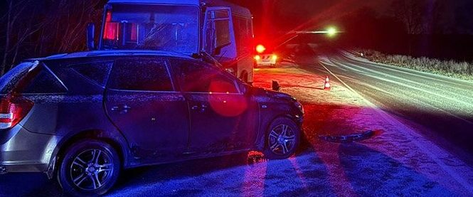 На Камʼянеччині трапилась ДТП, у якій загинула жінка та травмувалися двоє дітей