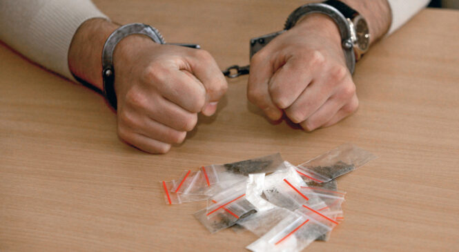 Протидія незаконному обігу наркотичних засобів