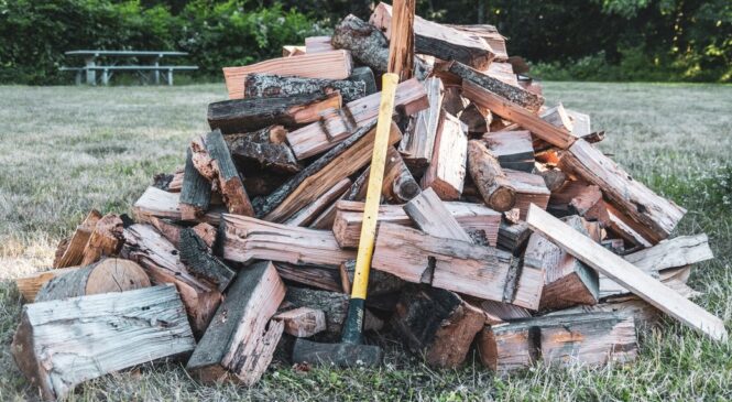 Субсидія на дрова: скільки буковинців отримали та як подати заявку