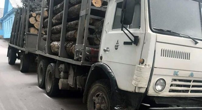 Буковинець нестиме відповідальність за перевезення незаконно зрубаної деревини