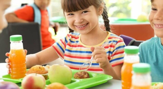 Хто має право на пільги харчування у школах і садочках