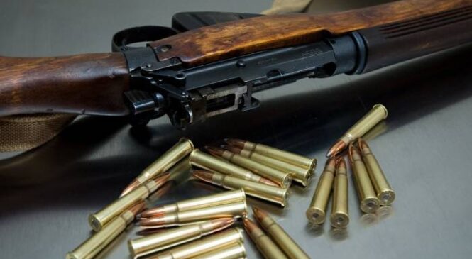 До суду направлено кримінальне провадження за фактом незаконного зберігання вогнепальної зброї та боєприпасів