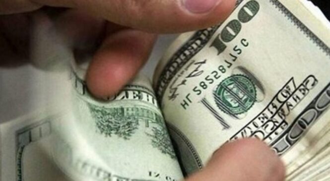 Одеситка відповідатиме за надання неправомірної вигоди, надану задля безперешкодного перетину кордону її співмешканцем