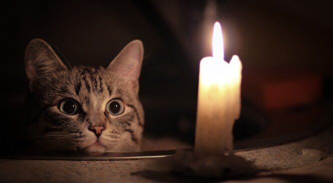 Графік відключень світла на Буковині у середу станом на 10:30, 26 червня