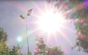 Липнева спека: як охолодити оселю і себе без кондиціонера