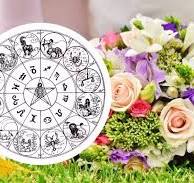 Яку щасливу квітку має кожен знак Зодіаку: у Водоліїв – орхідея, у Левів – соняшник