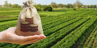 Земельний податок – обов’язковий платіж: роз’яснення щодо його сплати