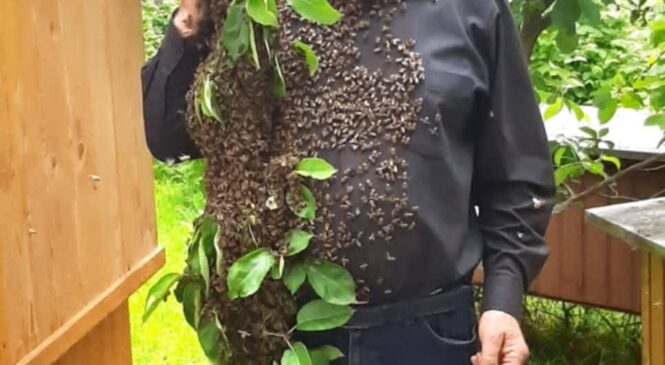 ЦІЛЮЩИЙ МЕД, ЖИВА ВОДА І МОВ КАРТИНА З НЕБЕС ГОСПОДНІХ