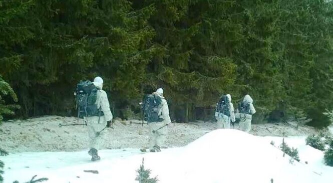 На Буковині затримали чоловіків, які в маскувальних костюмах рухалися до кордону з Румунією