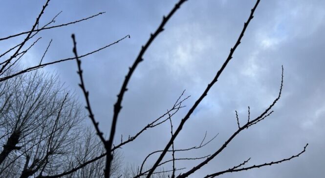 Якою буде погода у Чернівцях та області 28 лютого