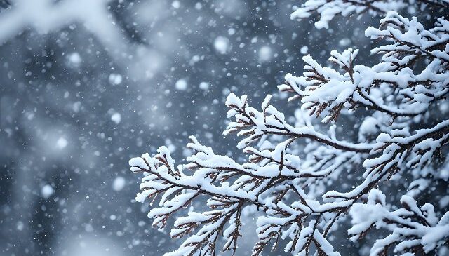 Морозний тиждень на Буковині: погода на найближчий тиждень