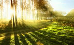 Сьогодні на Буковині вітряно, місцями невеликий дощ