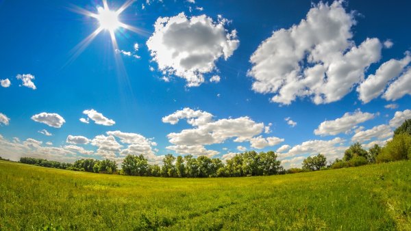 Погода на Буковині 31 липня